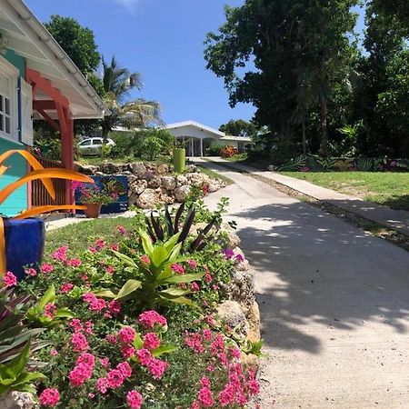 Jardin Des Anges-Bungalows Creoles Et Studio Le Moule Exterior foto