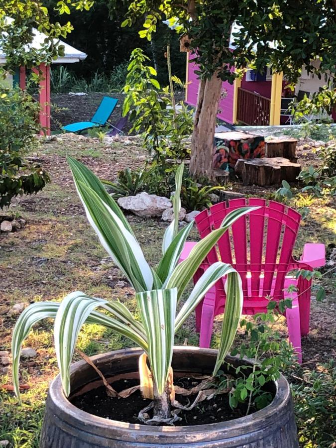 Jardin Des Anges-Bungalows Creoles Et Studio Le Moule Exterior foto