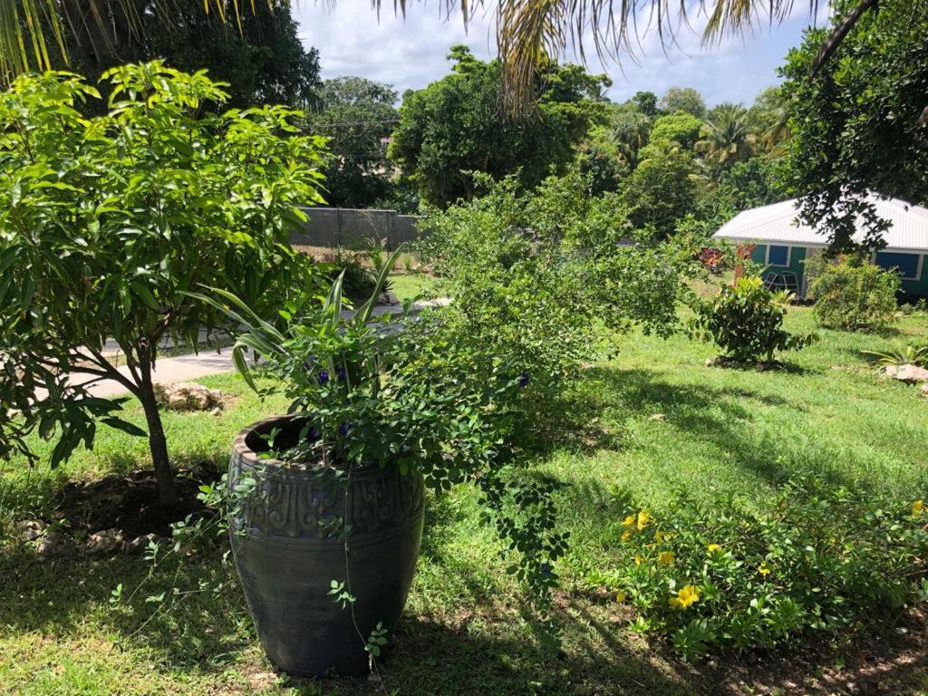 Jardin Des Anges-Bungalows Creoles Et Studio Le Moule Exterior foto