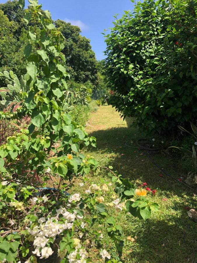 Jardin Des Anges-Bungalows Creoles Et Studio Le Moule Exterior foto