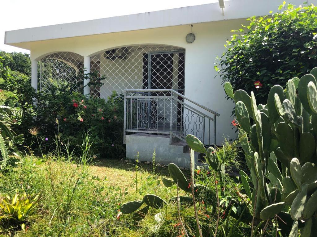 Jardin Des Anges-Bungalows Creoles Et Studio Le Moule Exterior foto