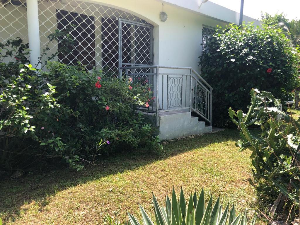 Jardin Des Anges-Bungalows Creoles Et Studio Le Moule Exterior foto