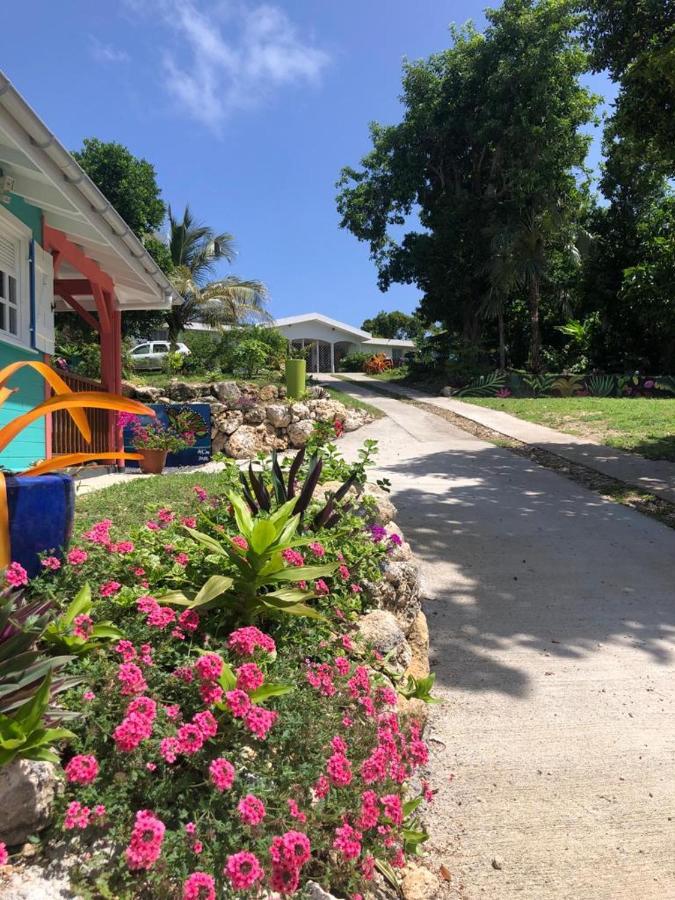 Jardin Des Anges-Bungalows Creoles Et Studio Le Moule Exterior foto